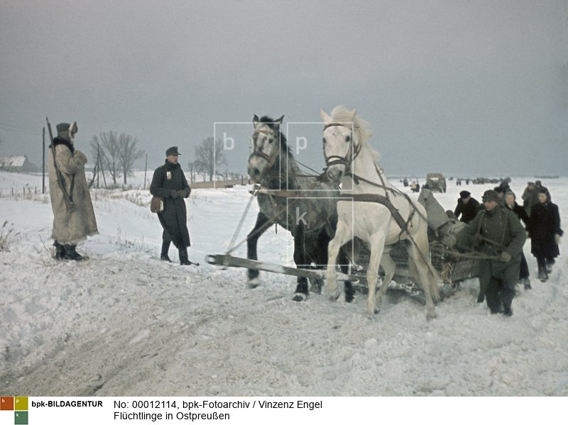 Aufnahmedatum: Januar/Februar 1945<BR>Material/Technik: Foto<BR>