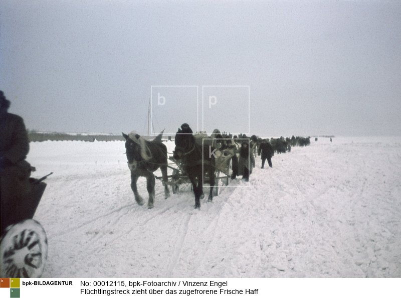 Aufnahmedatum: Januar / Februar 1945<BR>Material/Technik: Foto<BR>Aufnahmeort: bei Heiligenbeil (Ostpreußen)<BR>Inventar-Nr.: En<BR>