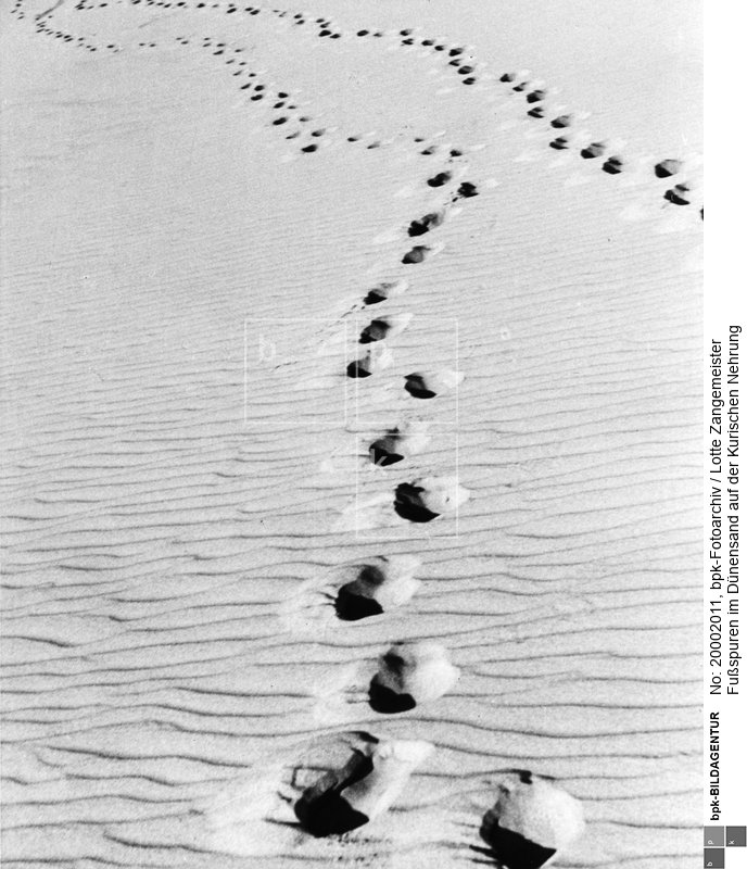 Aufnahmedatum: 1934<BR>Material/Technik: Foto<BR>Aufnahmeort: Kurische Nehrung / Ostpreußen<BR>Inventar-Nr.: (Zm 4a-10)<BR>