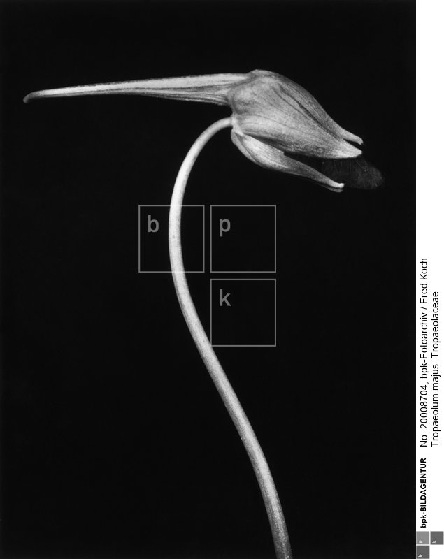 Aufnahmedatum: o.J.<BR>Material/Technik: Foto<BR>