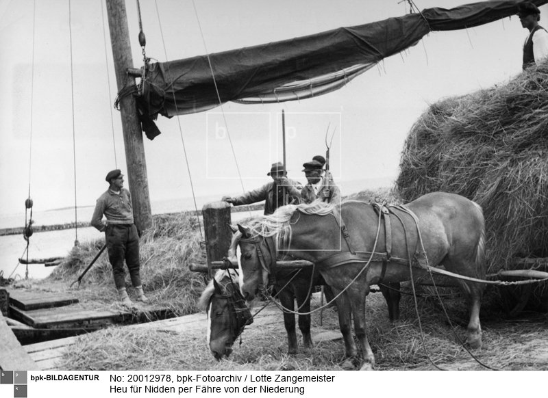Aufnahmedatum: um 1935<BR>Material/Technik: Foto<BR>Aufnahmeort: Nidden / Ostpreußen<BR>