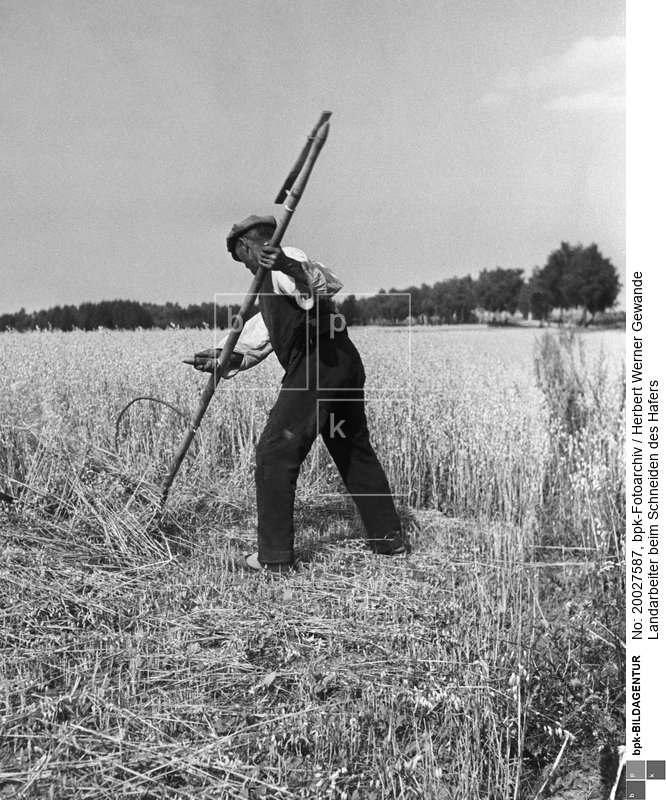 Aufnahmedatum: um 1935<BR>Inventar-Nr.: Gw 76<BR>Systematik: <BR>Kulturgeschichte / Landwirtschaft / 20. Jh. / Ernte / Getreide