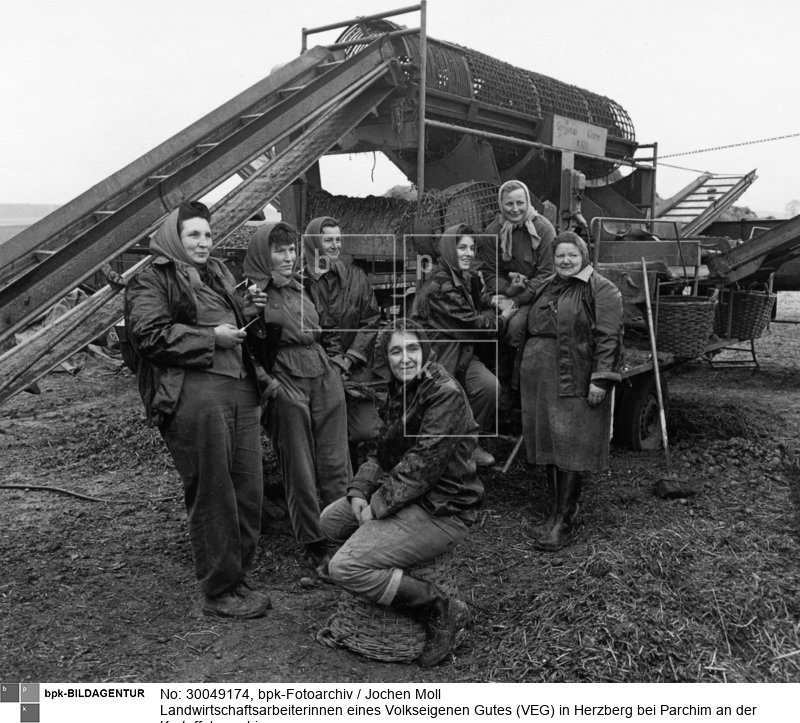 Fotograf: Jochen Moll <BR> Aufnahmedatum: 1965 <BR> Aufnahmeort: Herzberg <BR> Inventar-Nr.: Mo RF0057-11 <BR> Systematik:  <BR> Geschichte / Deutschland / 20. Jh. / DDR / Wirtschaft / Landwirtschaft, Forstwirtschaft / Allgemeines / Landleben / Bauern und Landarbeiter