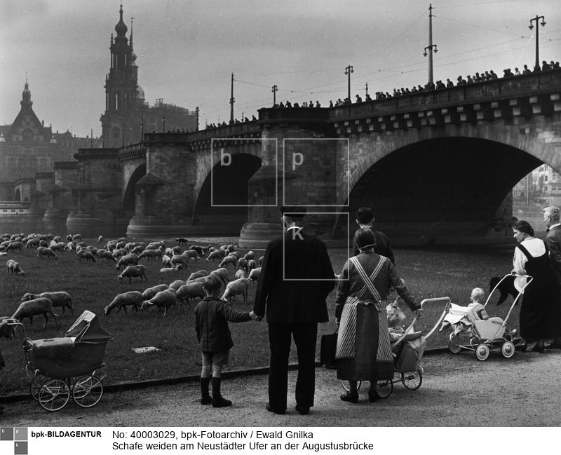 Im Hintergrund die Hofkirche<BR>Aufnahmedatum: 1934<BR>Aufnahmeort: Dresden<BR>Systematik: <BR>Geographie / Europa / Deutschland / Orte / Dresden / Brücken, Brunnen