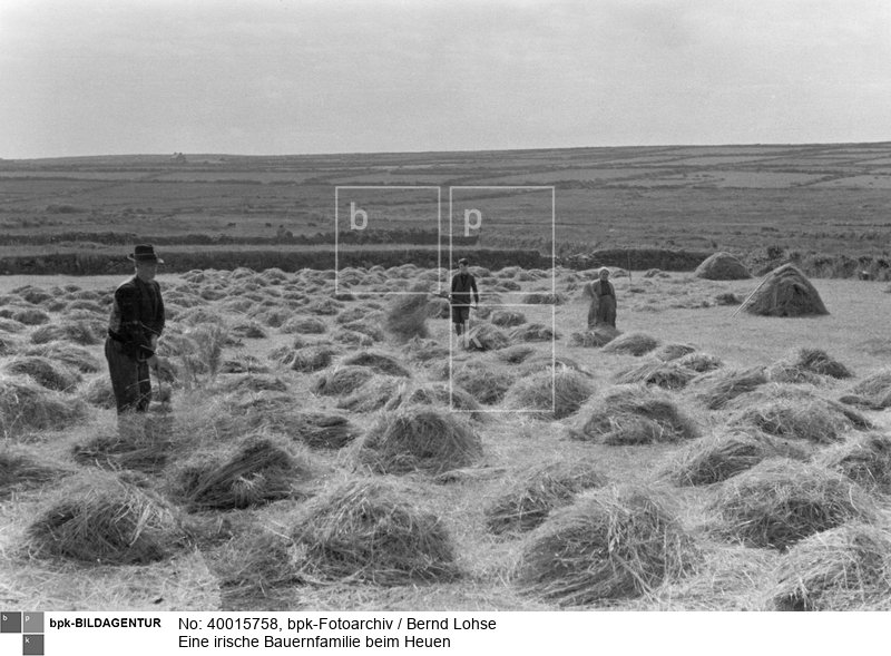 Aufnahmedatum: um 1936<BR>Material/Technik: Foto<BR>Aufnahmeort: Irland<BR>Inventar-Nr.: Lo E 165/41<BR>