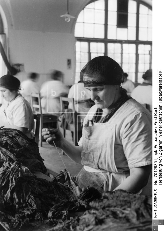 Arbeiterin bei der Bearbeitung der Tabakblätter<BR>Aufnahmedatum: o.J. (um 1938)<BR>Material/Technik: Foto<BR>Inventar-Nr.: FK R07-18<BR>