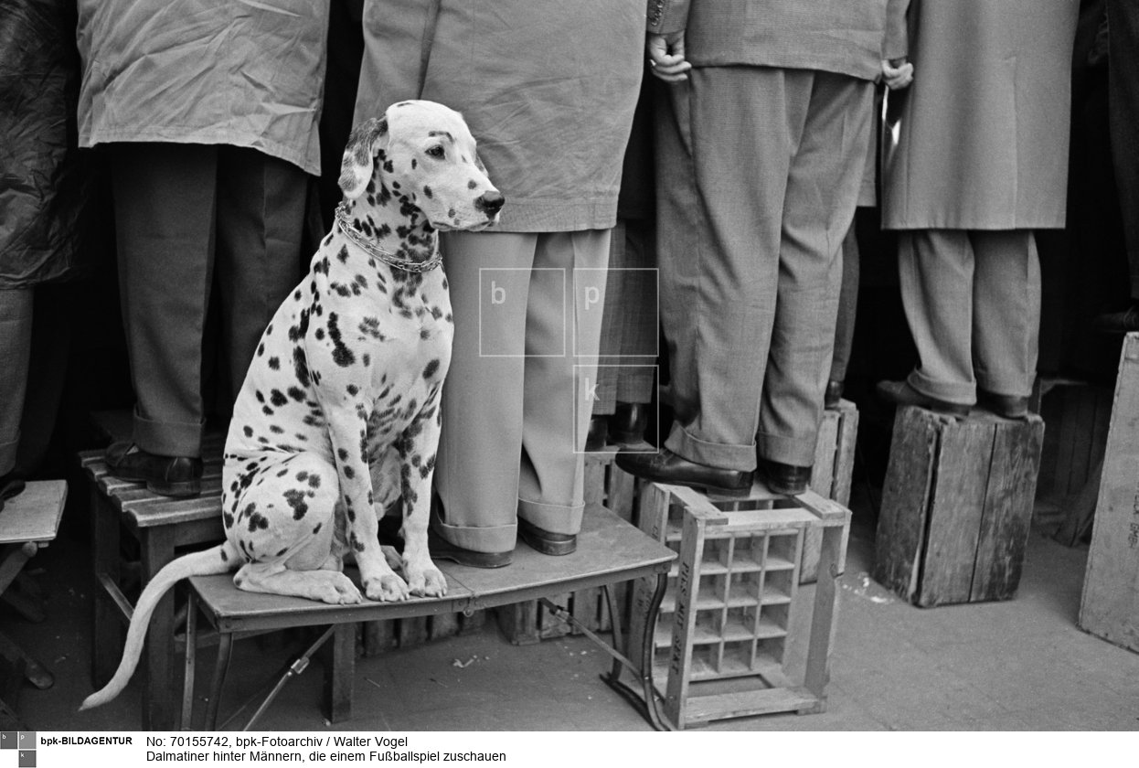 Aufnahmedatum: 1956/57<BR>Material/Technik: Foto<BR>Aufnahmeort: Düsseldorf<BR>Inventar-Nr.: Vg 141-27<BR>