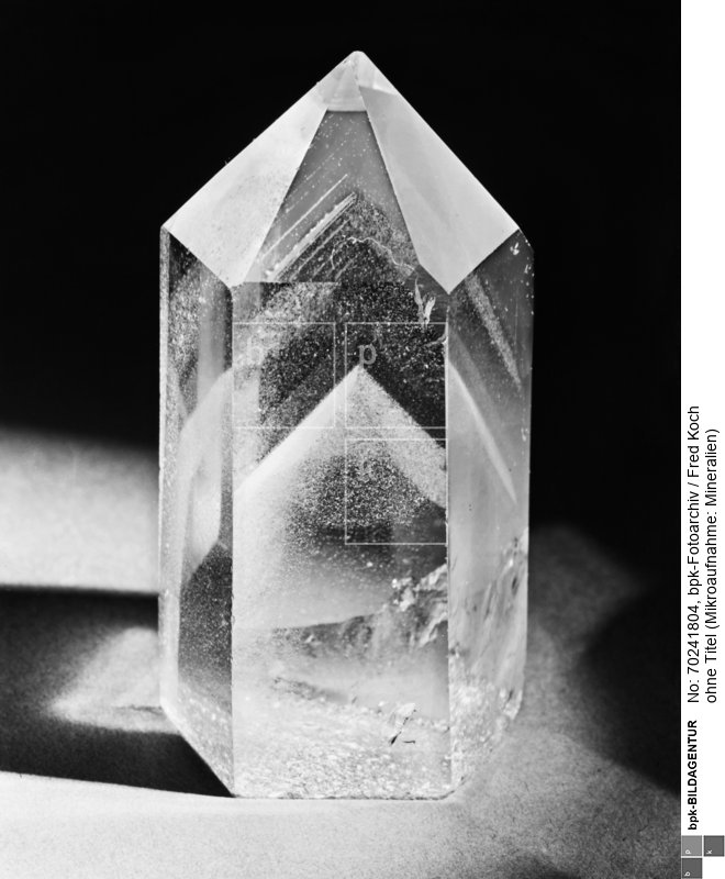 mit original Retusche auf GP; Veröffentlicht in: Wunder des Lebens, amtlicher Führer 1935<BR>Aufnahmedatum: bis 1935<BR>Material/Technik: Foto<BR>Inventar-Nr.: FK G101<BR>