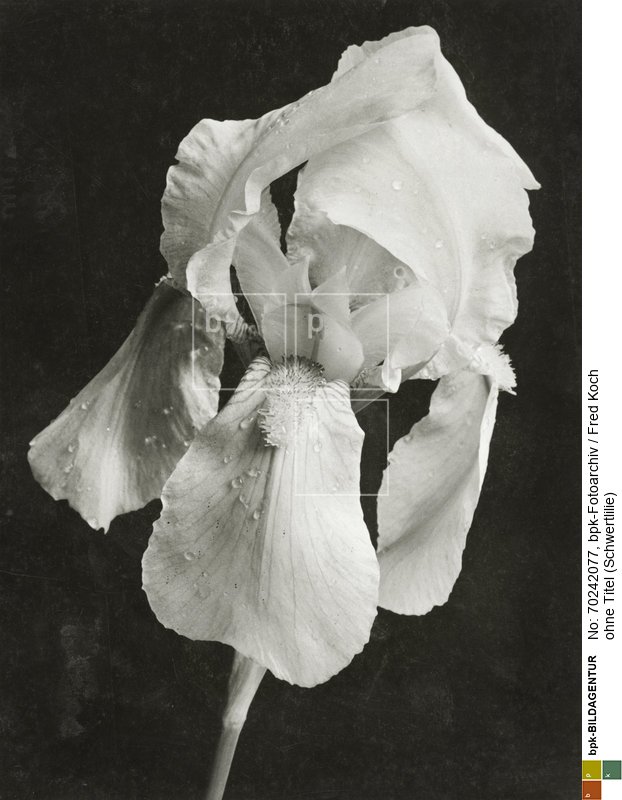 Aufnahmedatum: o.J.<BR>Material/Technik: Foto<BR>