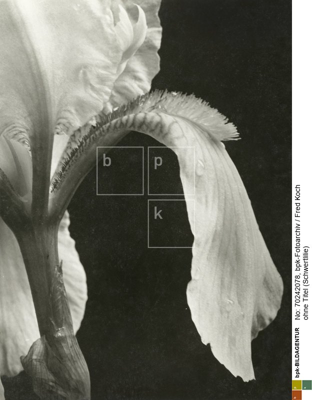 Aufnahmedatum: o.J.<BR>Material/Technik: Foto<BR>