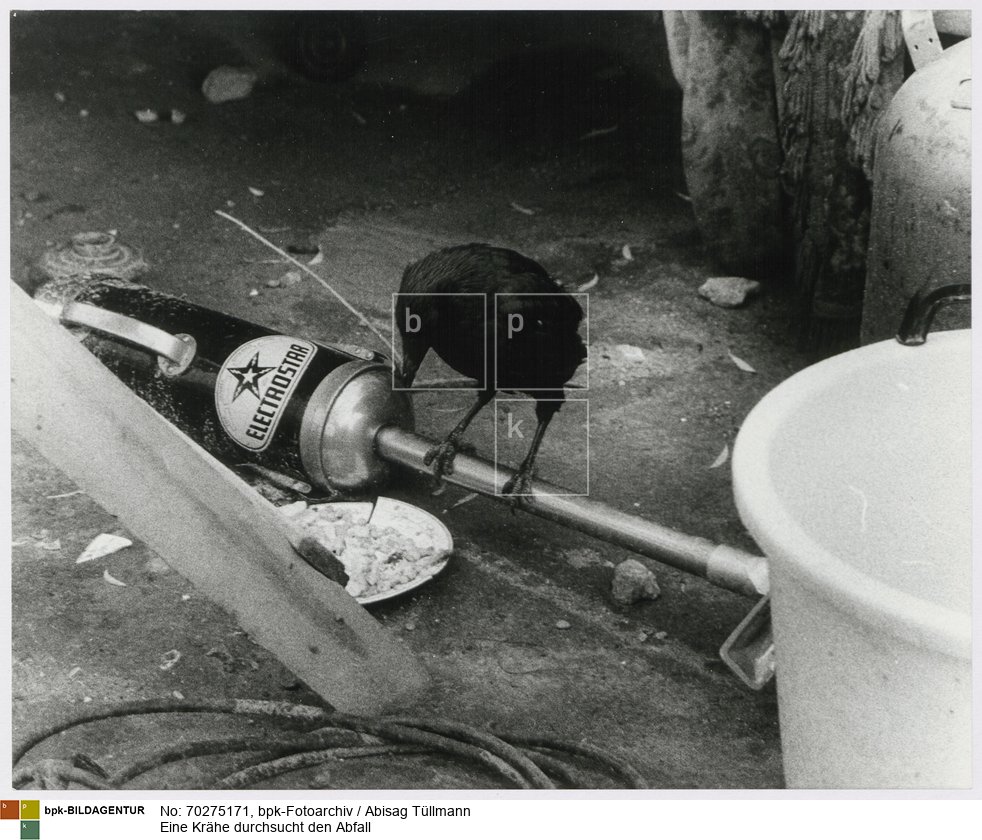 in einer Notunterkunft für Sinti und Roma in Mainz
Rückseitenbeschriftung von anderer Hand: "Sinti und Roma, Notunterkunft in Mainz"<BR>Aufnahmedatum: Mai 1971<BR>Material/Technik: Foto / Silbergelatine auf Barytpapier<BR>Bildformat (Foto): 23,7 x 29,4 cm<BR>Aufnahmeort: Mainz / Deutschland<BR>Inventar-Nr.: Tü 71/058-54<BR>