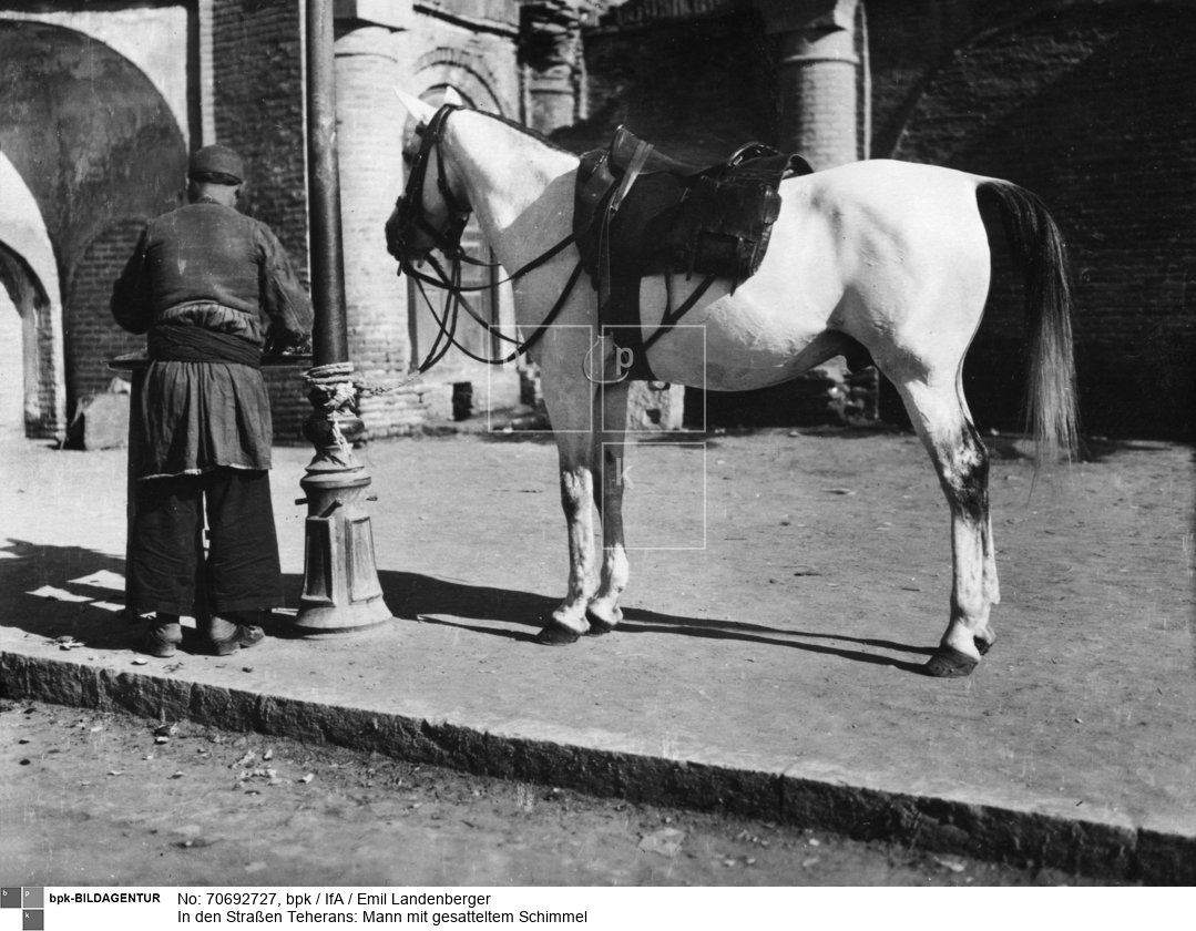 Aufnahmedatum: um 1912<BR>Material/Technik: Foto<BR>Aufnahmeort: Teheran, Iran<BR>Inventar-Nr.: IfA<BR>