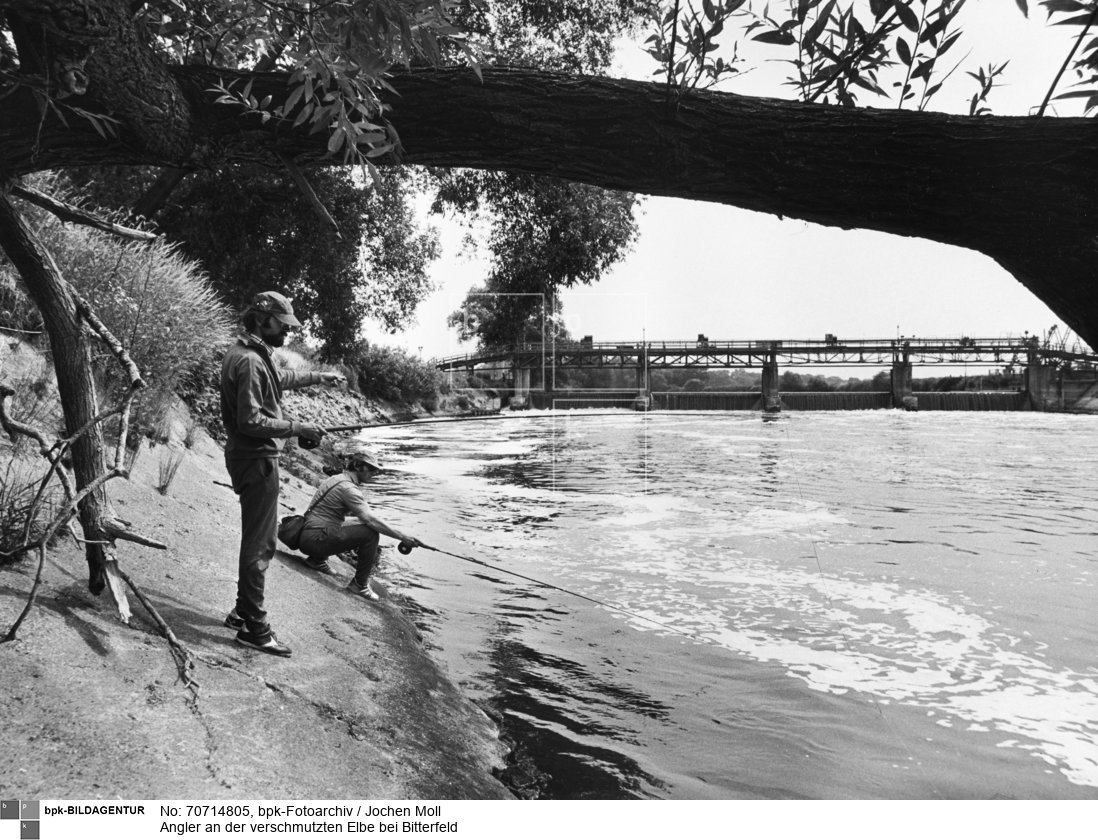 Serie: Bitterfelder Land / im Hintergrund ein Staudamm und eine Brücke<BR>Aufnahmedatum: 1979<BR>Material/Technik: Foto / Vintage Print<BR>Aufnahmeort: Bitterfeld, Anhalt<BR>