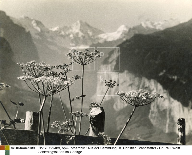 Aufnahmedatum: 1930-1950<BR>Material/Technik: Foto / Vintage Print<BR>