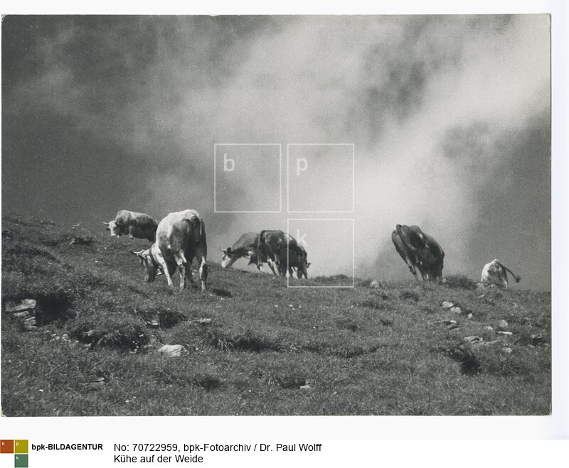 Aufnahmedatum: 1930-1950<BR>Material/Technik: Foto / Vintage Print<BR>Aufnahmeort: Tirol, Österreich<BR>