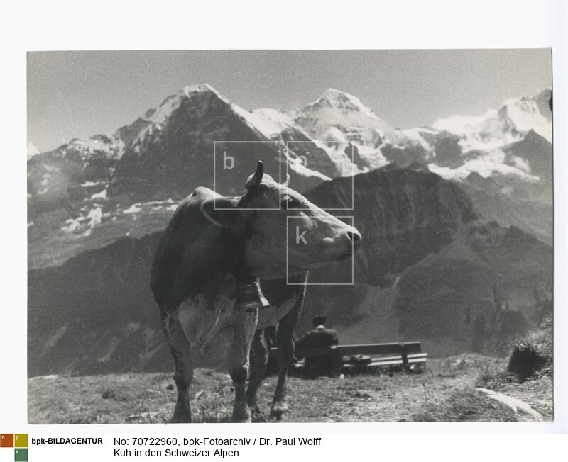 Im Hintergrund das Dreigestirn der Berner Alpen Eiger, Mönch und Jungfrau<BR>Aufnahmedatum: 1930-1950<BR>Material/Technik: Foto / Vintage Print<BR>Aufnahmeort: Schweiz<BR>
