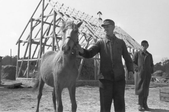 Für den Neubauern aus Dahlewitz (Brandenburg) ist das Pferd ein kostbarer Besitz
