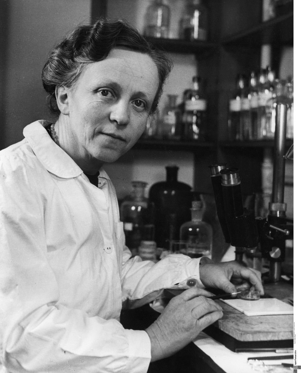 Prof. Dr. Paula Hertwig